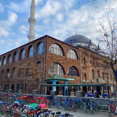 ığdır cami halısı